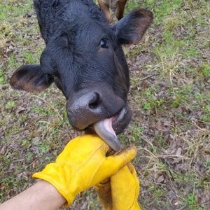 Meet your Posher, Corey